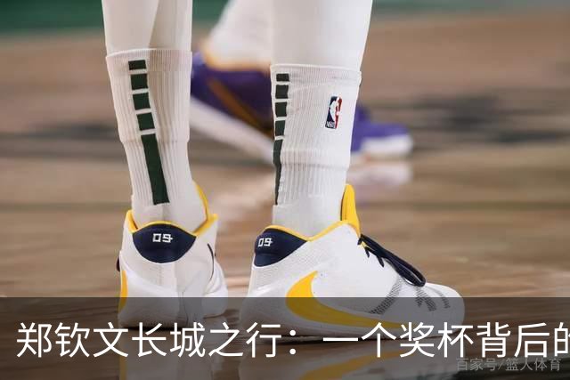 郑钦文长城之行：一个奖杯背后的风光与泪水
